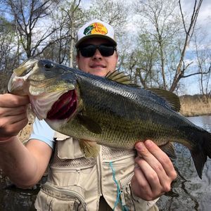 Meet your Posher, Riley